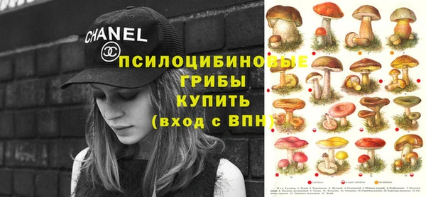 прущий лед Алексин