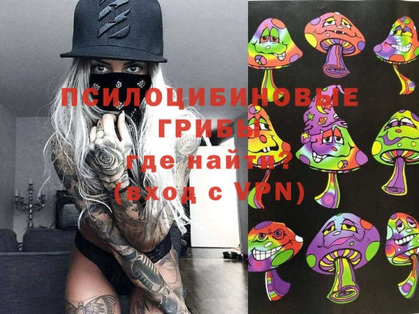 крисы Алзамай
