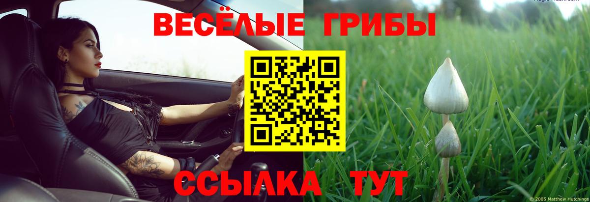 Псилоцибиновые грибы мицелий  Вход с VPN  Арсеньев  Псилоцибиновые грибы Cubensis 